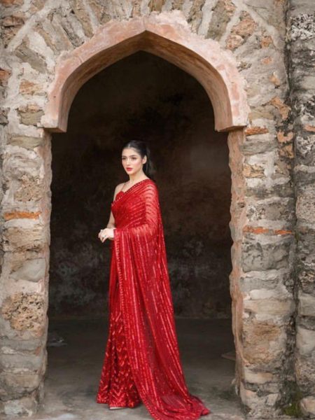 Party Wear Red Saree With Blouse Indian Sabyasachi Saree Bollywood Fancy Sarees Wholesale