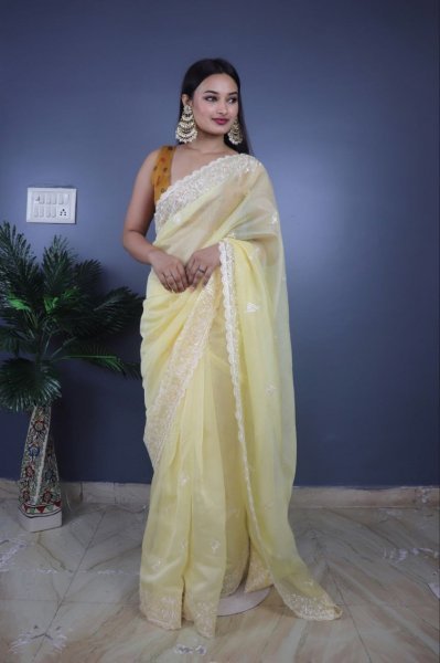 Banarasi Embroidery Organza Saree  Sequence Design CutWork Border Organza Sarees Wholesale