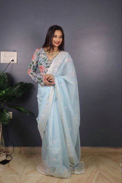 Banarasi Embroidery Organza Saree  Sequence Design CutWork Border Organza Sarees Wholesale