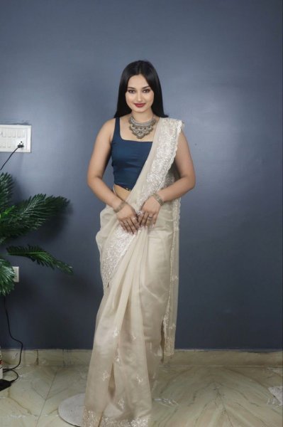 Banarasi Embroidery Organza Saree  Sequence Design CutWork Border Organza Sarees Wholesale