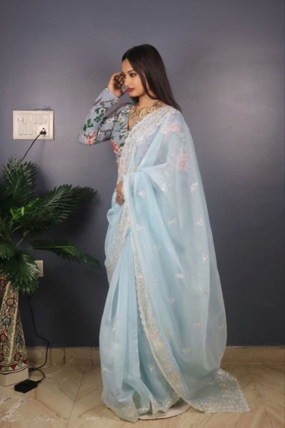 Banarasi Embroidery Organza Saree  Sequence Design CutWork Border Organza Sarees Wholesale