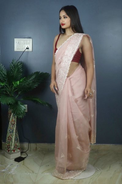 Banarasi Embroidery Organza Saree  Sequence Design CutWork Border Organza Sarees Wholesale