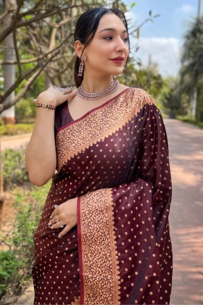 Beautiful Lichi Silk Jacquard Border Saree Silk Sarees Wholesale