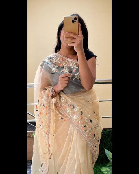 BlockBuster Design Organza Saree With Embroidery Work  Organza Sarees Wholesale