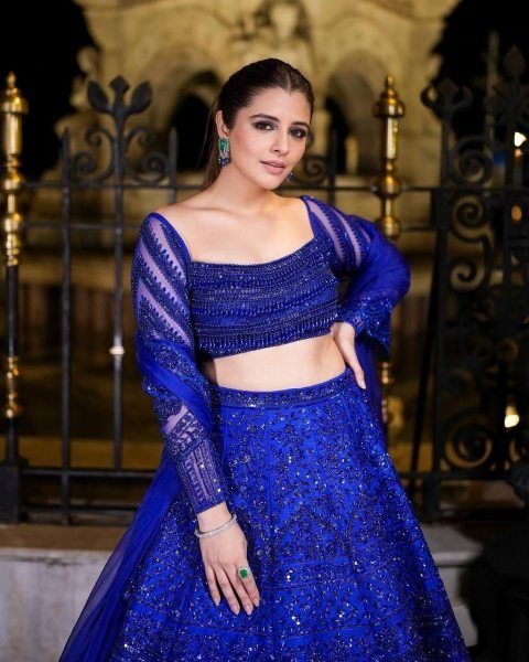 Blue Color Net Lehenga Choli With Sequence Work  Designer Lehenga Choli