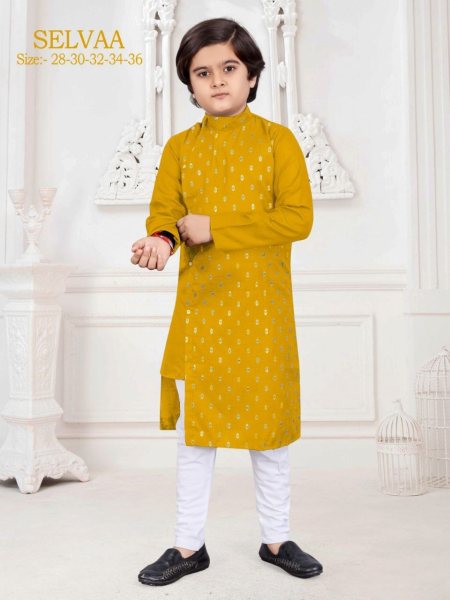 Boys Festive   Party Kurta and Pyjama Set   Boys Wear