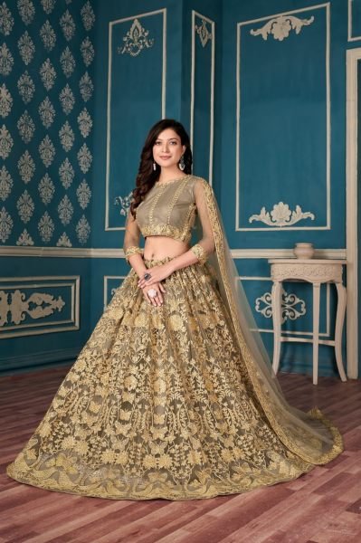 Brown Embroidered Net Lehenga Choli With Dupatta Designer Lehenga Choli