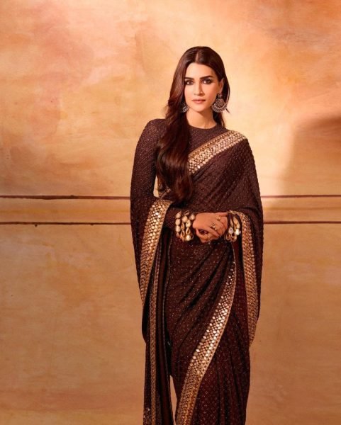 Brown Wedding Wear Soft Georgette Silk Saree   Embroidery Work  Georgette Sarees Wholesale