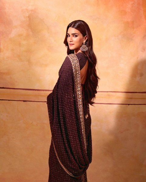 Brown Wedding Wear Soft Georgette Silk Saree   Embroidery Work  Georgette Sarees Wholesale