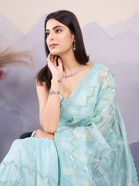 C   Pallu Net Saree With Embroidery And Cut Work Border   Net Sarees Wholesale