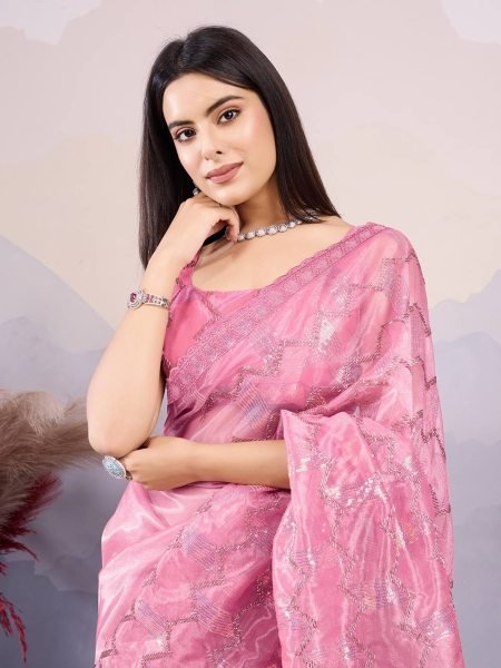 C   Pallu Net Saree With Embroidery And Cut Work Border   Net Sarees Wholesale