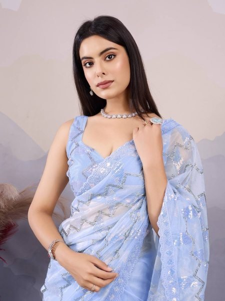 C   Pallu Net Saree With Embroidery And Cut Work Border   Net Sarees Wholesale