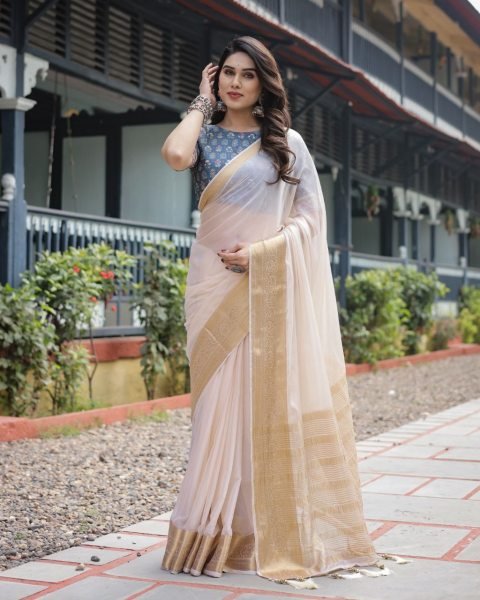Classic cream white chiffon saree with a contrast blouse piece and a rich golden zari border Bollywood Fancy Sarees Wholesale