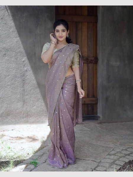 Designer  Heavy Twill Net Saree With Sequence work Net Sarees Wholesale