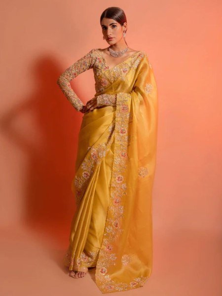 Designer Organza Silk Saree with C Pallu Heavy Embroidery Silk Blouse Festive Collection by Royal Export  Surat Organza Sarees Wholesale