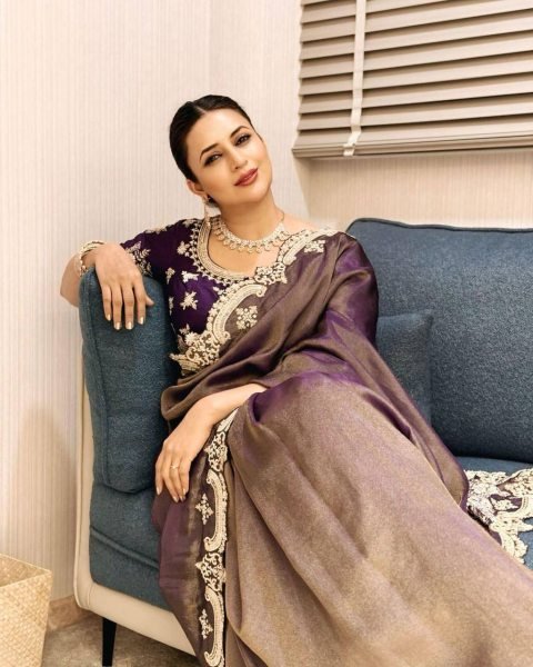 designer soft silk saree with scallop border premium zari embroidery look Embroidery Sarees Wholesale