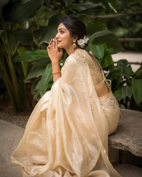 Designer Zari Stripe Saree in Soft Organza with Jacquard Blouse Premium Collection Organza Sarees Wholesale
