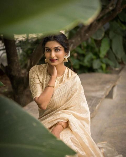 Designer Zari Stripe Saree in Soft Organza with Jacquard Blouse Premium Collection Organza Sarees Wholesale