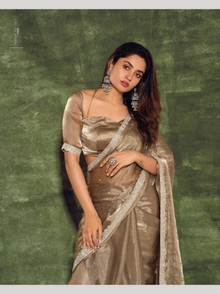 Designers Nude Brown Soft Jimmy chu silk Saree Bollywood Fancy Sarees Wholesale