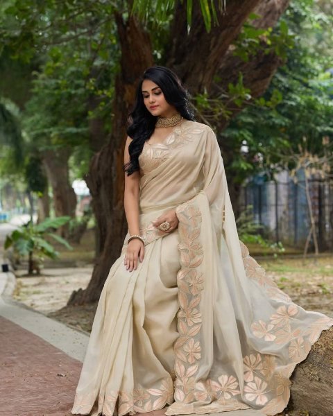 Elegant Bright Organza Silk Saree Featuring Intricate Sequin Work and Designer Arco Cut Border Latest Collection at Best Wholesale Price Organza Sarees Wholesale
