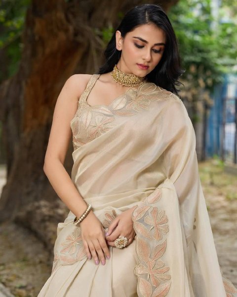 Elegant Bright Organza Silk Saree Featuring Intricate Sequin Work and Designer Arco Cut Border Latest Collection at Best Wholesale Price Organza Sarees Wholesale