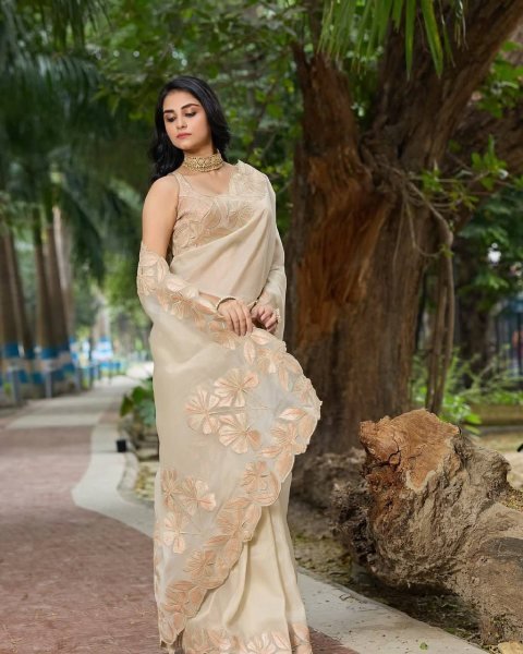 Elegant Bright Organza Silk Saree Featuring Intricate Sequin Work and Designer Arco Cut Border Latest Collection at Best Wholesale Price Organza Sarees Wholesale
