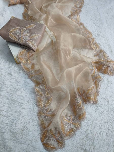 Elegant Bright Organza Silk Saree Featuring Intricate Sequin Work and Designer Arco Cut Border Latest Collection at Best Wholesale Price Organza Sarees Wholesale