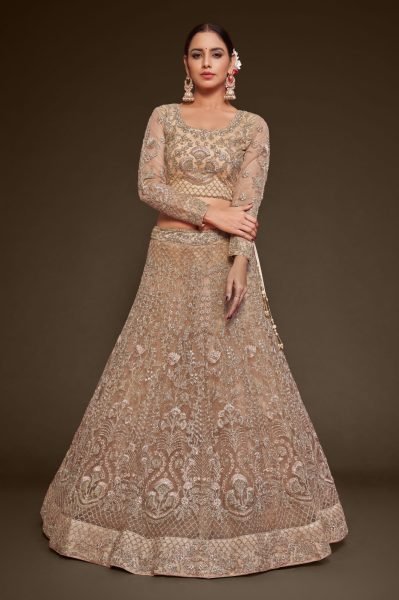 Embroidered Net Lehenga in Beige Bridal Lehenga Choli