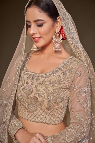 Embroidered Net Lehenga in Beige Bridal Lehenga Choli