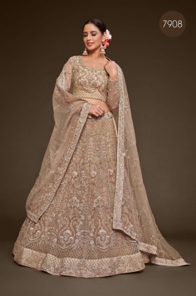 Embroidered Net Lehenga in Beige Bridal Lehenga Choli