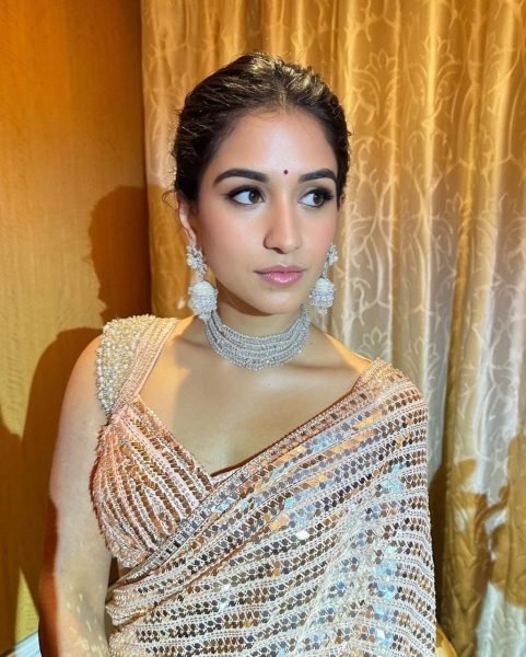 Embroidered Work Georgette Saree  Georgette Sarees Wholesale