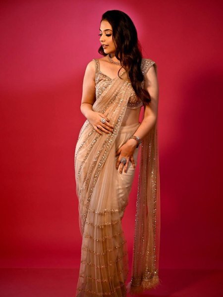 glorious net embroidered saree with blouse wholesale export 
