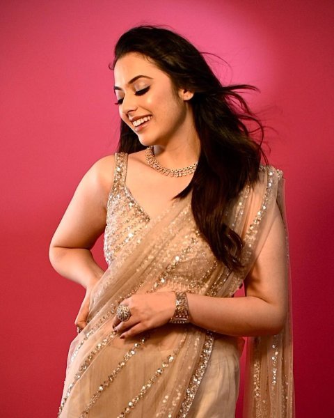 glorious net embroidered saree with blouse wholesale export Net Sarees Wholesale