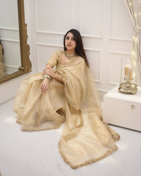 Goldy Crazy Beige Gold Fendy Silk Saree Set Wholesale Pricing Ready To Wear Saree 