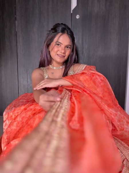 Heavy Beautiful Organza Silk Lehenga Choli with Sequence Border Designer Lehenga Choli