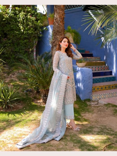 Heavy Butterfly Net Embroidered Work Suit  Pakistani Suits Wholesale