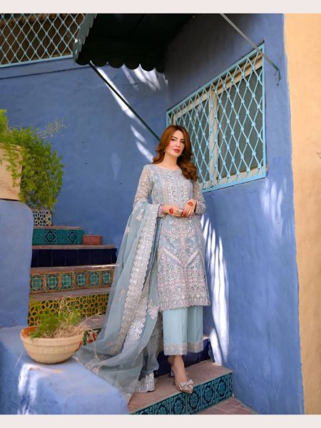 Heavy Butterfly Net Embroidered Work Suit  Pakistani Suits Wholesale