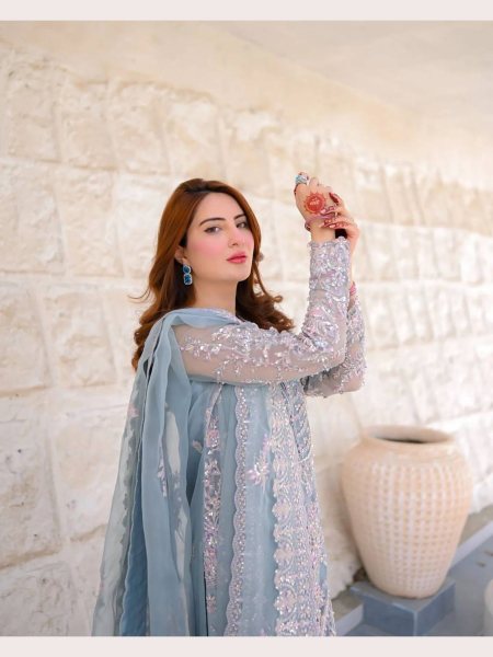 Heavy Butterfly Net Embroidered Work Suit  Pakistani Suits Wholesale