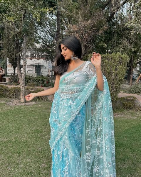 Heavy Butterfly Net Embroidery Saree Net Sarees Wholesale