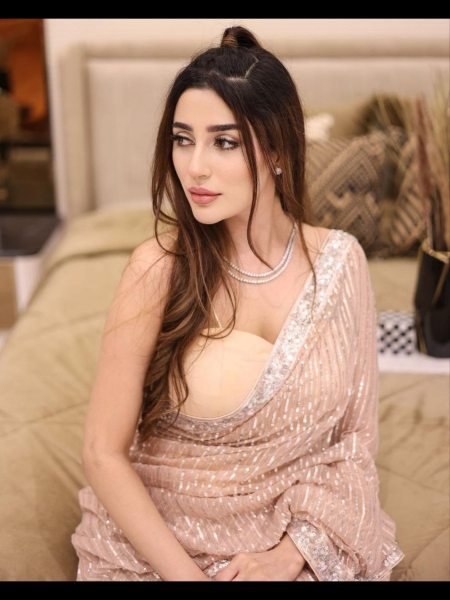 Heavy Georgette Saree With Sequence Embroidery Work  Georgette Sarees Wholesale
