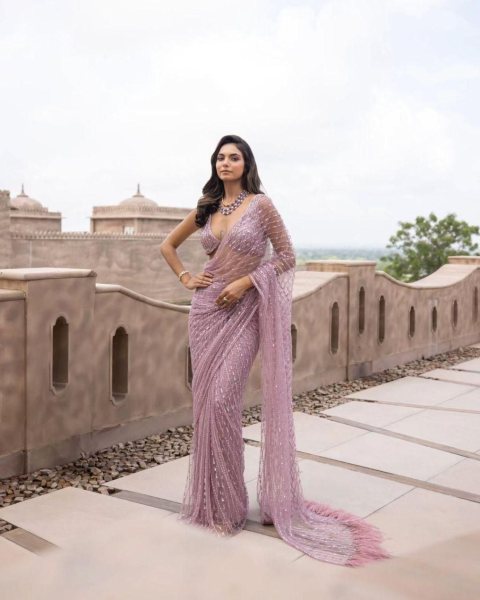 Heavy Nylon Butterfly Net Saree With Sequence Work Net Sarees Wholesale