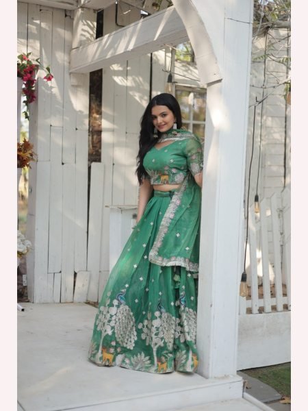 Heavy Sequence And Thread Embroidered work Lehenga Choli  Designer Lehenga Choli