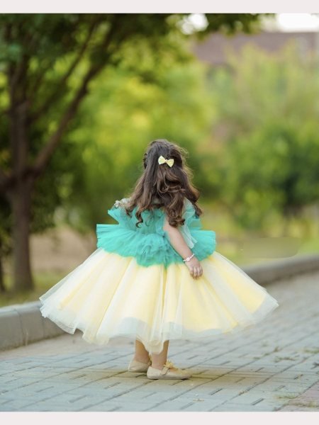 Kid s Heavy  Net Embellished Floral Colorblock Ruffle Dress Girls Wear