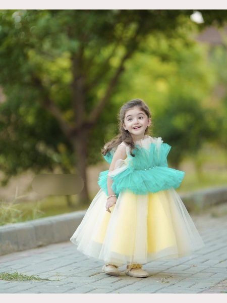 Kid s Heavy  Net Embellished Floral Colorblock Ruffle Dress Girls Wear