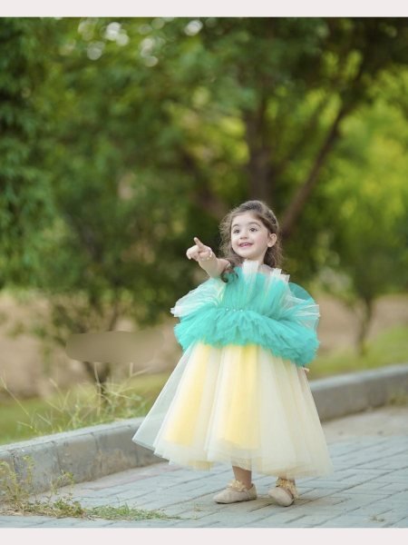 Kid s Heavy  Net Embellished Floral Colorblock Ruffle Dress Girls Wear