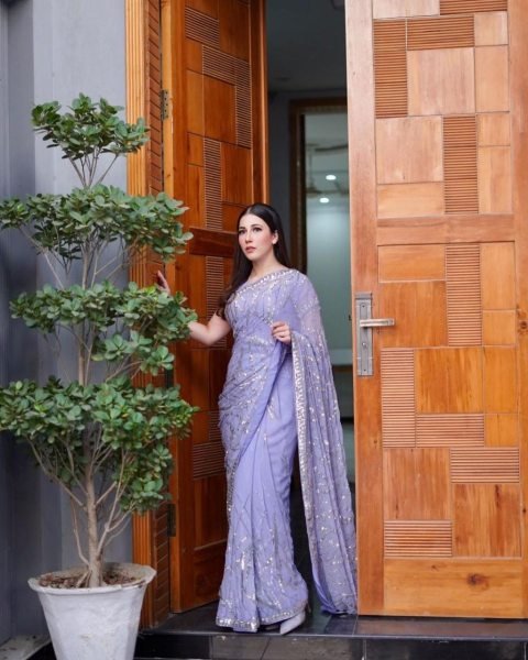 Lavender Heavy Georgette Saree  Georgette Sarees Wholesale