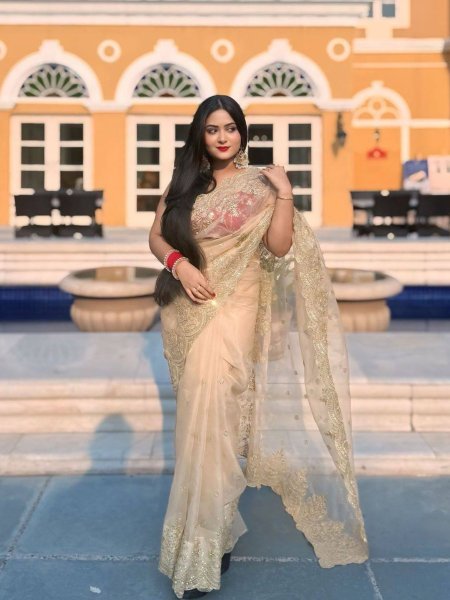 Luxe Gold Organza Saree with Sequins Red Corset Blouse for Grand Celebrations Designer Wedding Sarees Wholesale