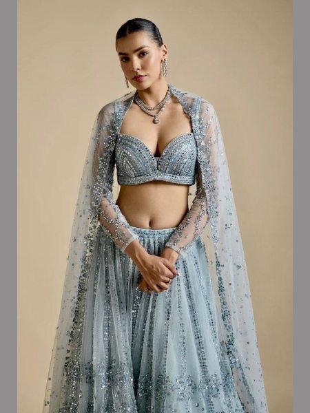 New Trending Net Lehenga Choli With Sequence Work By Royal Export  Designer Lehenga Choli