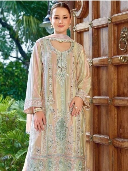 Noor Jahan Clothing Festive Pakistani Suits with Heavy Embroidery Work Pakistani Suits Wholesale