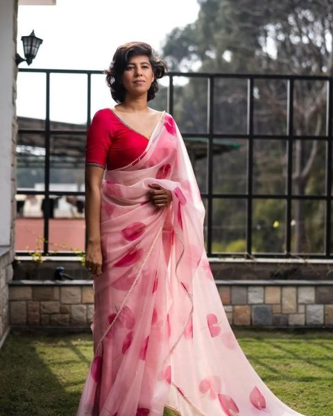 Organza Saree Collection With Pearl Lace  Organza Sarees Wholesale